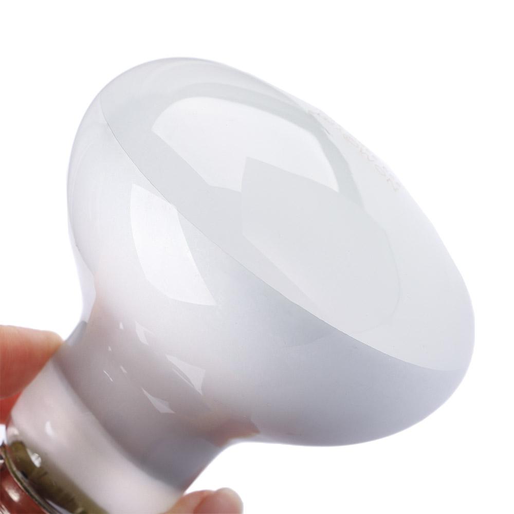 Basking Bulb Halogen - جهاز تحكم في درجة حرارة السلاحف