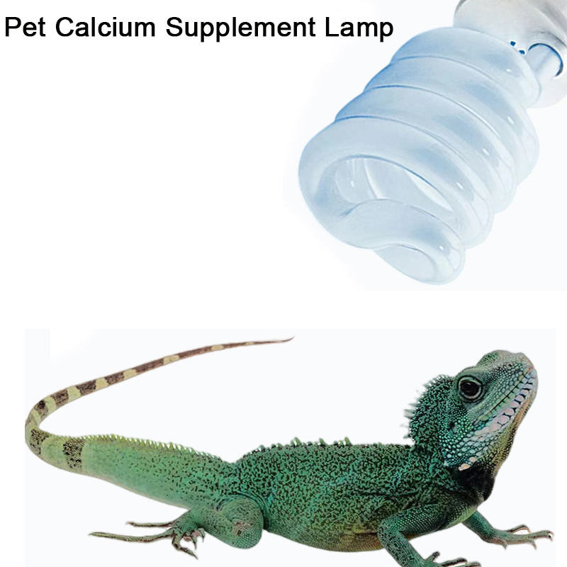 Calcium Powder Reptile - E27 13 واط/26 واط الزواحف Uvb
