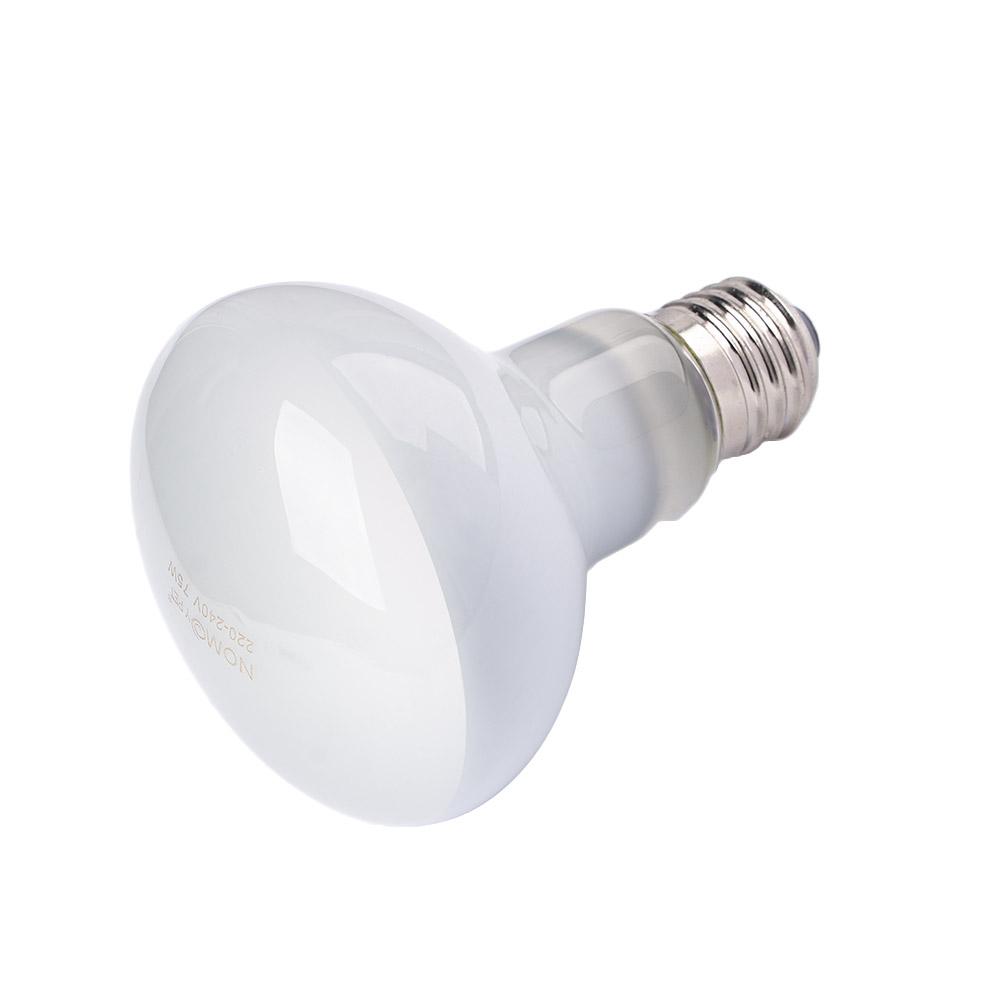 جهاز تحكم في درجة حرارة السخان - مراجعة Basking Bulb Halogen وسعره