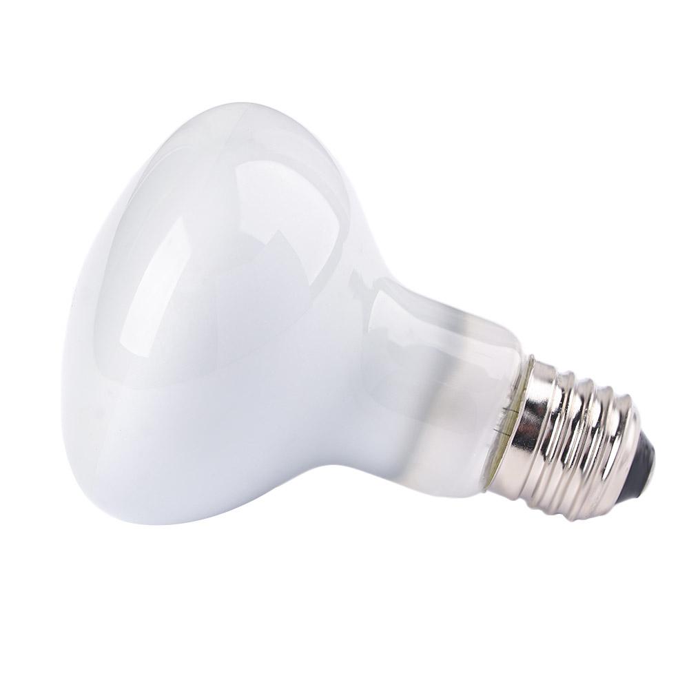 جهاز تحكم في درجة حرارة الحيوا - مراجعة Basking Bulb Halogen وسعره