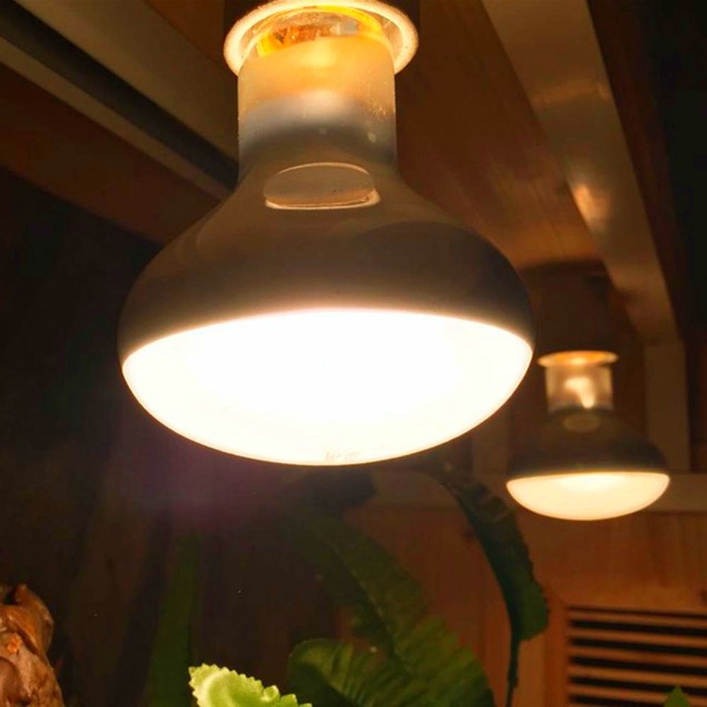 جهاز تحكم في درجة حرارة الحيوا - مراجعة Basking Bulb Halogen وسعره