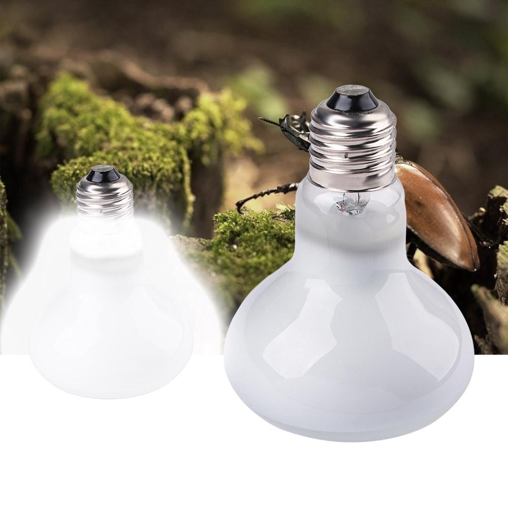جهاز تحكم في درجة حرارة الحيوا - مراجعة Basking Bulb Halogen وسعره