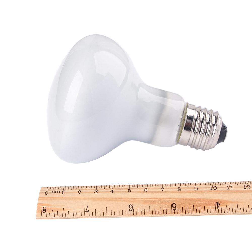 جهاز تحكم في درجة حرارة السلاح - مراجعة Basking Bulb Halogen وسعره