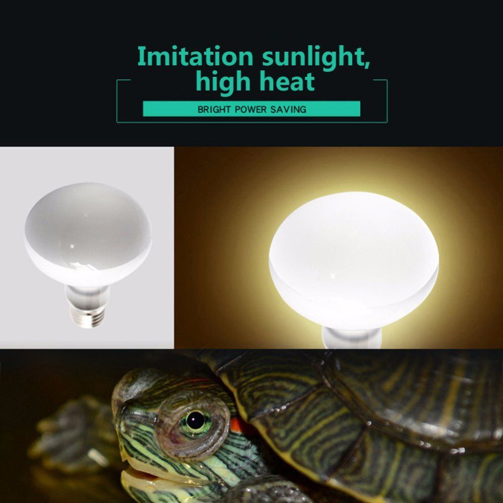 جهاز تحكم في درجة حرارة السلاح - مراجعة Basking Bulb Halogen وسعره