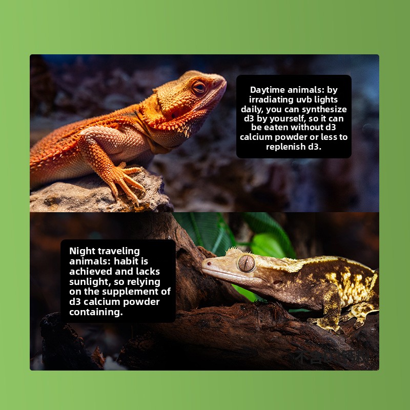 Reptizoo مسحوق الكالسيوم الزوا - مراجعة Calcium Powder Reptile وسعره