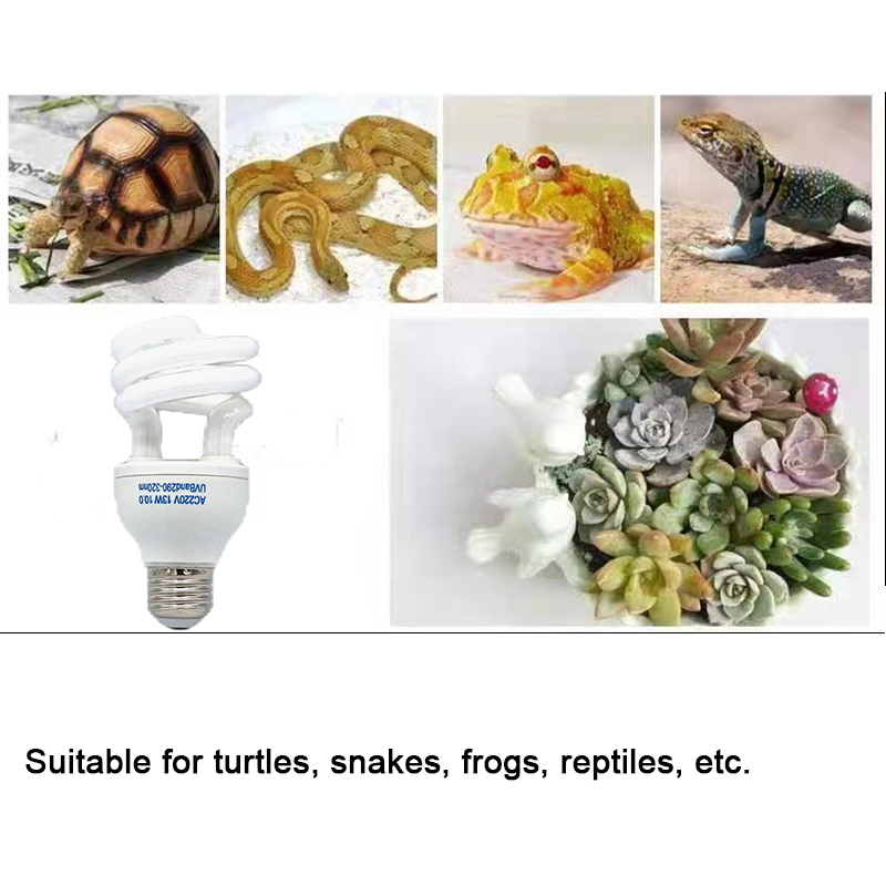 E27 13 واط/26 واط الزواحف Uvb  - مراجعة Calcium Powder Reptile وسعره