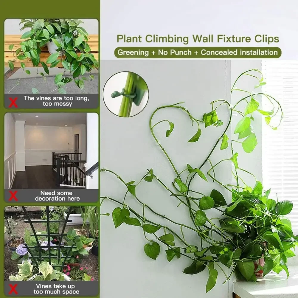 1/30/50 قطعة لملحقات الحدائق أ - مراجعة Vine Climbing Plastic وسعره