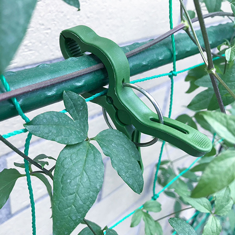 60 قطعة من مشابك النباتات البل - مراجعة Vine Climbing Plastic وسعره