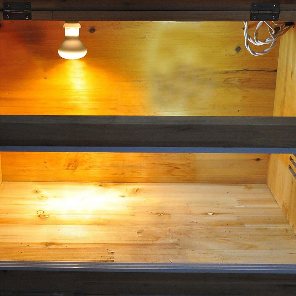 جهاز تحكم في درجة حرارة السخان - مراجعة Basking Bulb Halogen وسعره