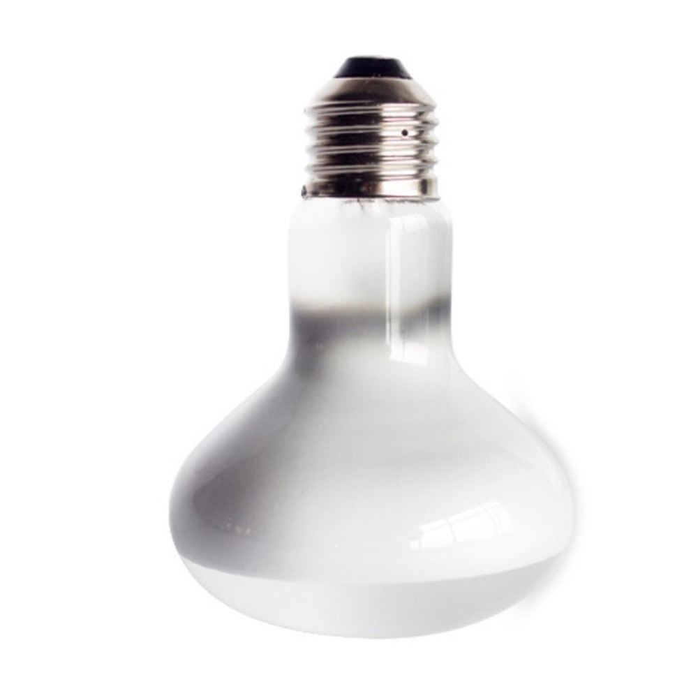 جهاز تحكم في درجة حرارة السخان - مراجعة Basking Bulb Halogen وسعره