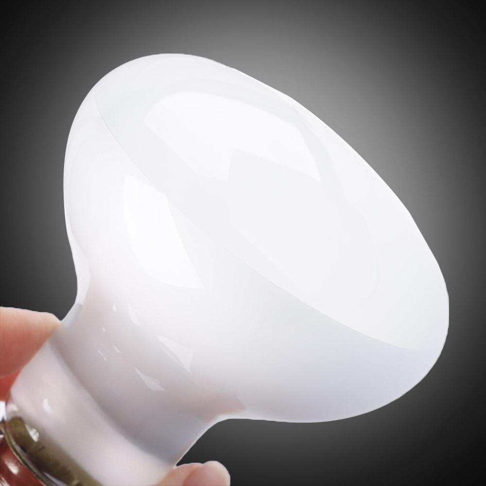 مصباح حراري للبرمائيات مع جهاز - مراجعة Basking Bulb Halogen وسعره