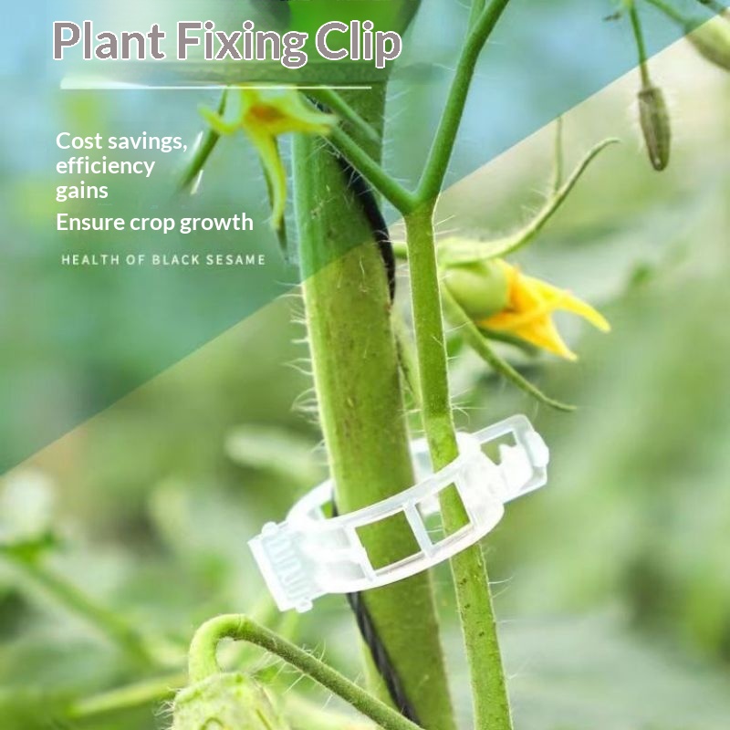 مشابك دعم النباتات البلاستيكية - مراجعة Vine Climbing Plastic وسعره