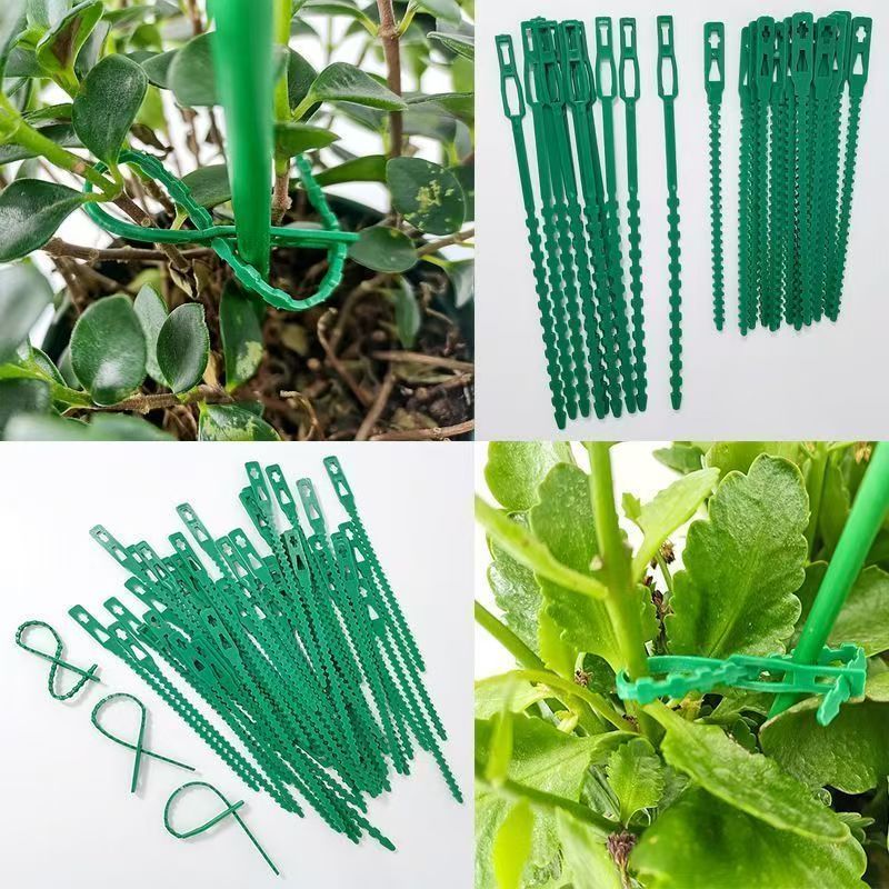 أربطة نباتات خضراء قابلة لإعاد - مراجعة Vine Climbing Plastic وسعره